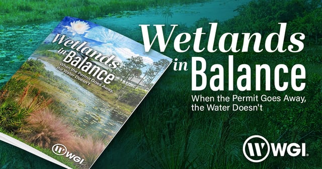 Wetlands in Balance: When the Permit Goes Away, the Water Doesn't