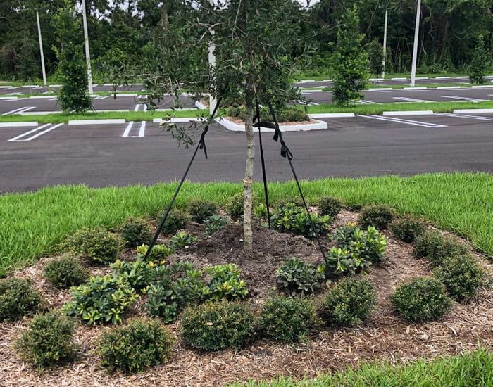 Keiser University Football Stadium — image 1