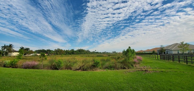 Onsite Wetland Mitigation Areas - Sterling Ranches