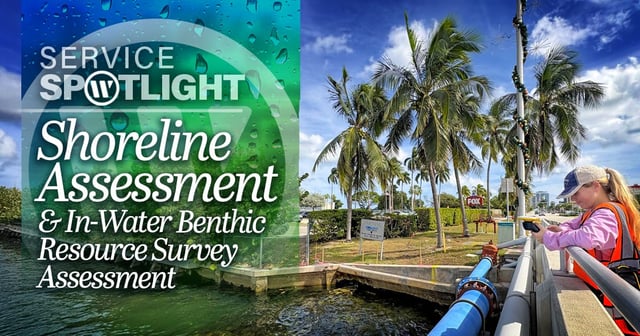 Environmental Service Spotlight: Shoreline Assessment & In-Water Benthic Resource Survey Assessment