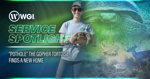 Service Spotlight: 