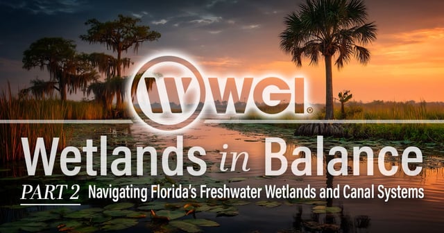 Wetlands in Balance: Navigating Florida’s Freshwater Wetlands and Canal Systems