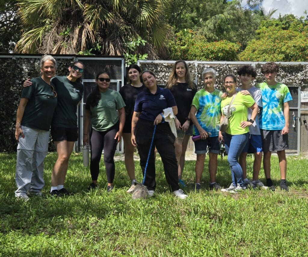 wildlife volunteering