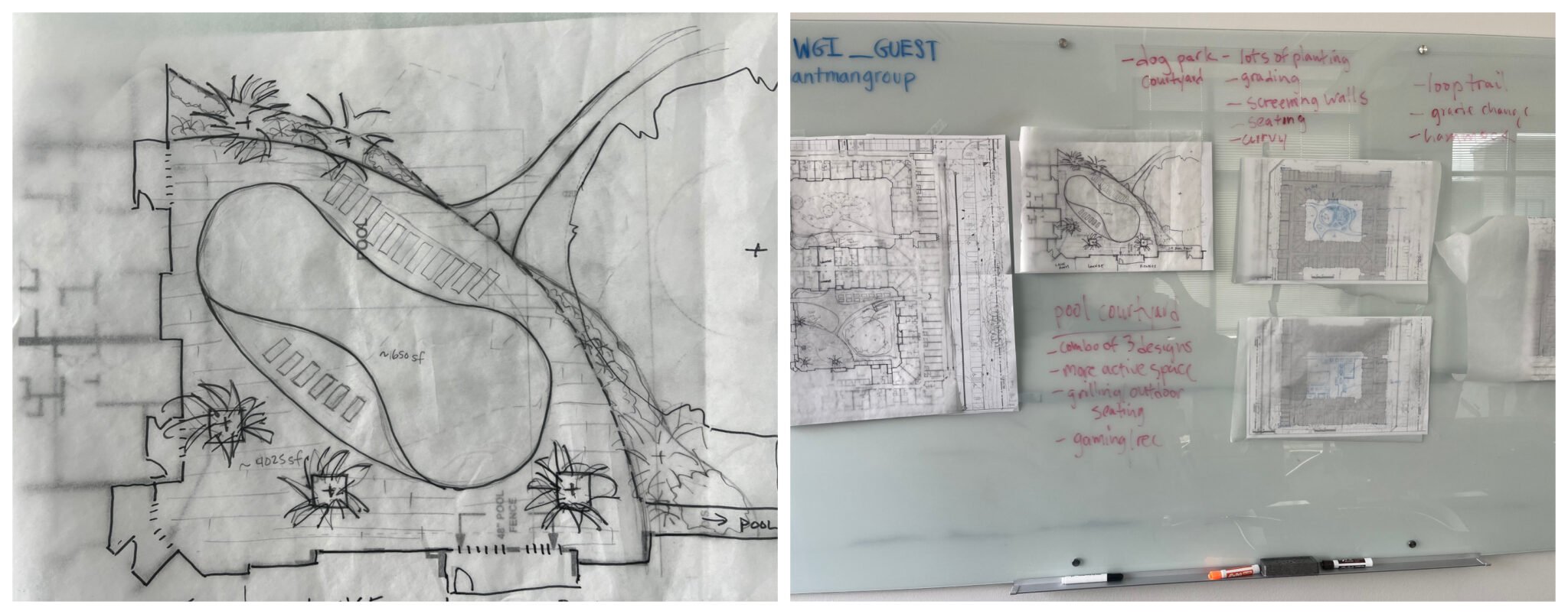 sketches