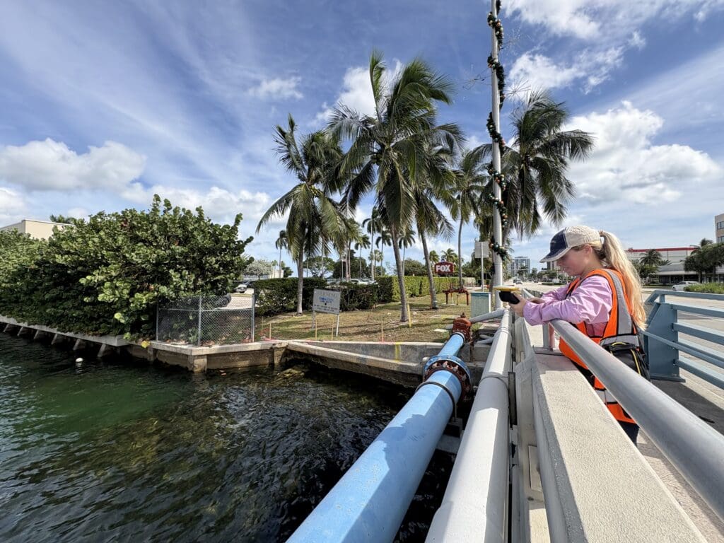 wgi associate on bridge
