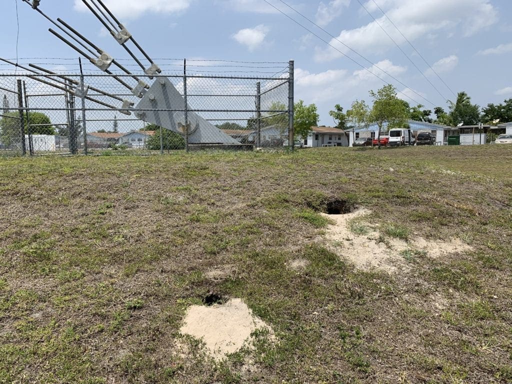 Florida Burrowing Owl Environmental Services
