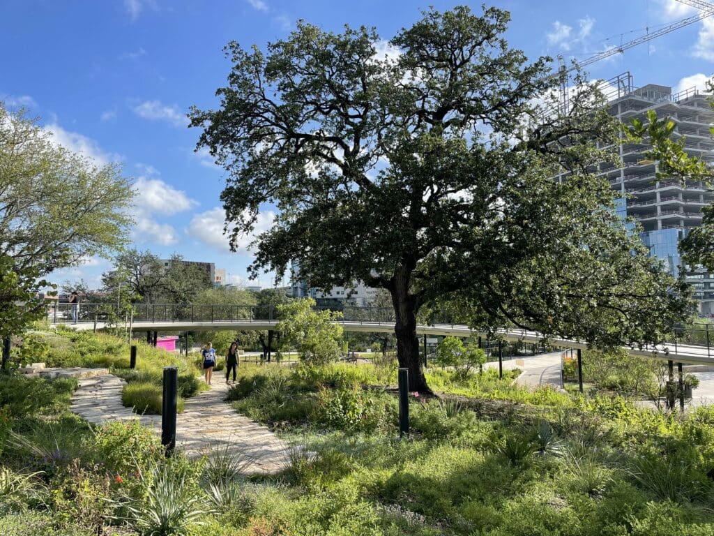 Hill Country Garden at Waterloo Park