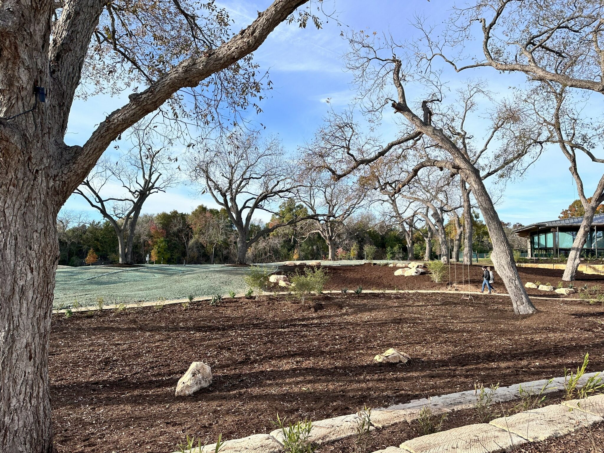 image of park with trees