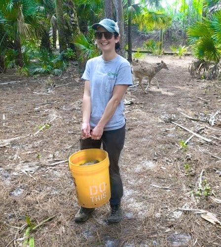 Transporting "Pothole" the gopher tortoise via a bucket trap