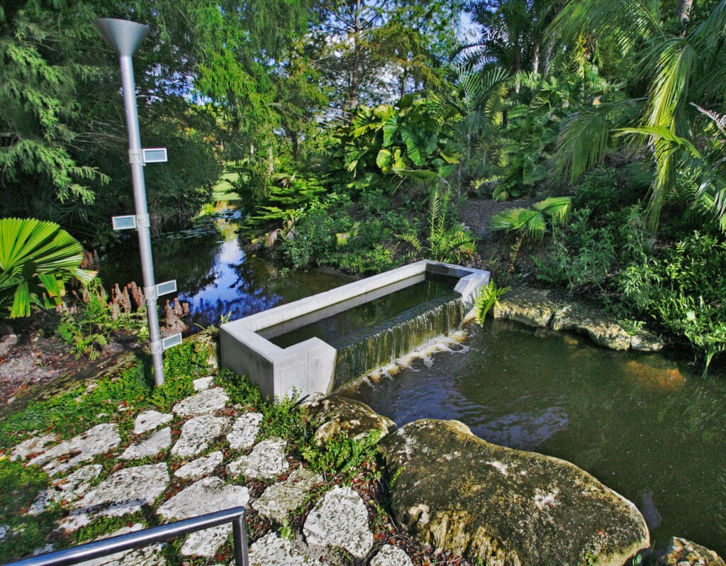 garden