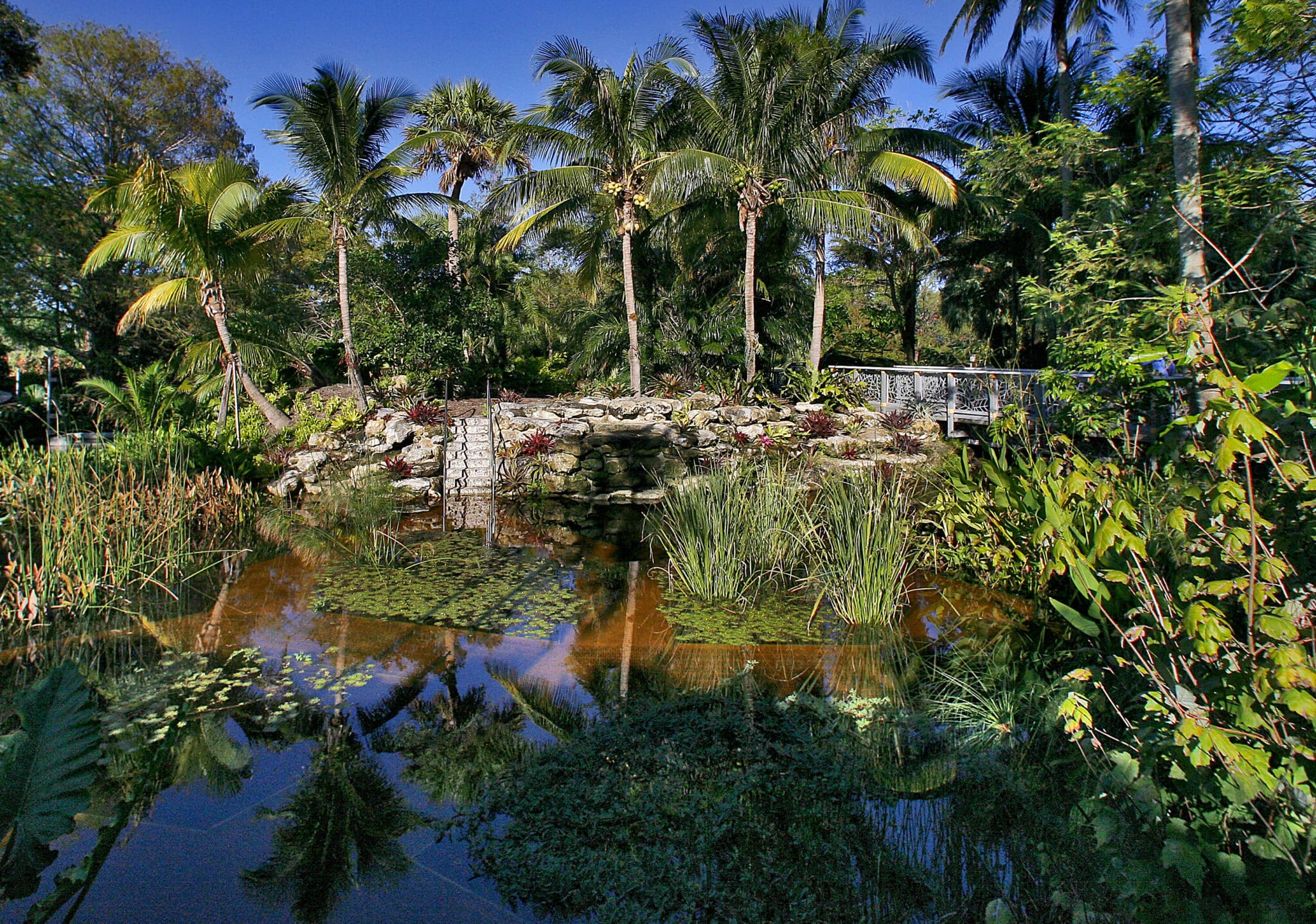 mounts botanical gardens