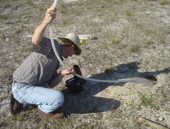 New Permitting Guidelines for Florida Burrowing Owls