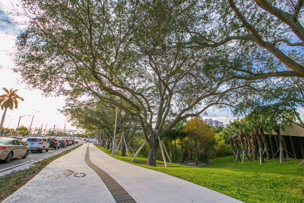 Bike path 