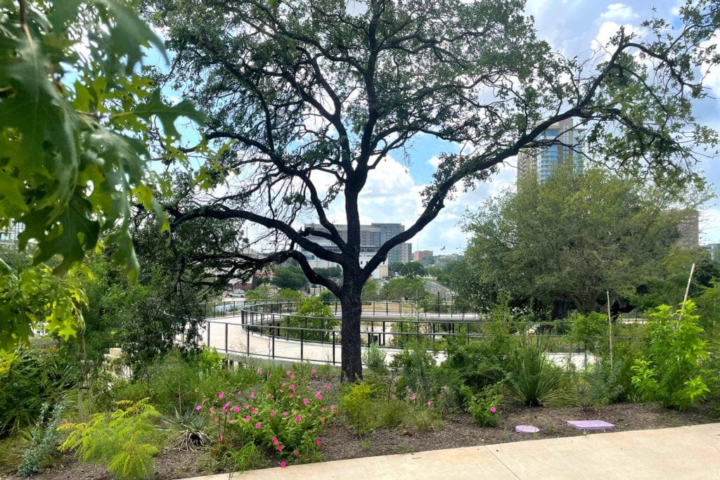 Waterloo Park native plants