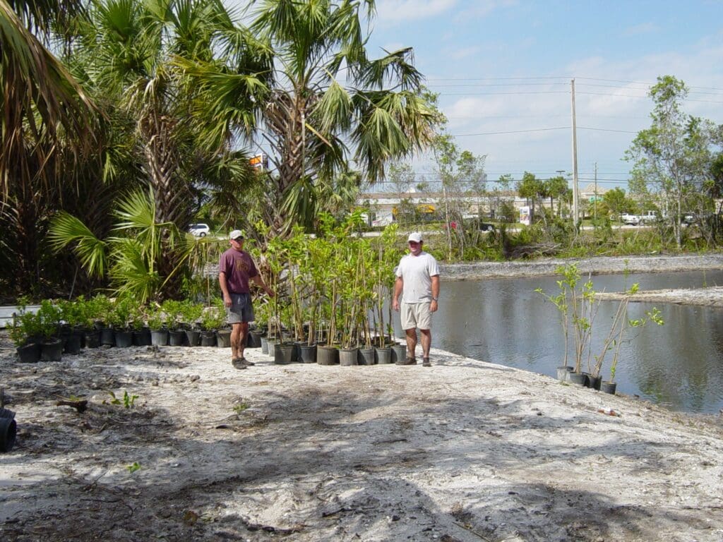 wetland restoration palisades