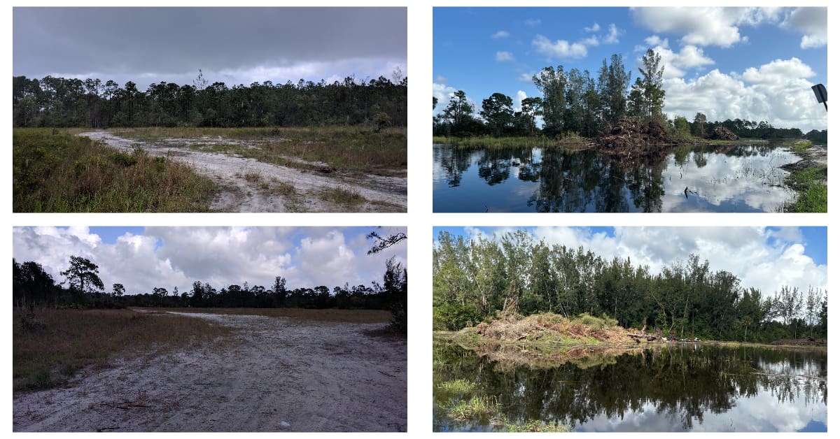 coconut crossing before and after