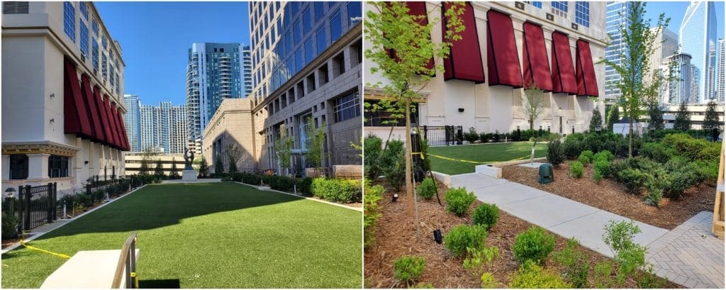 Building plaza landscaping