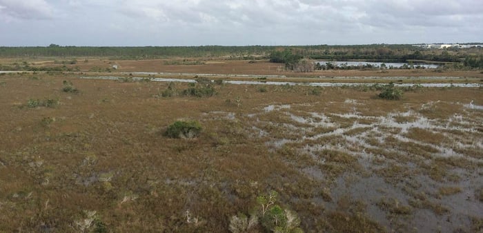 ADS-33 Helicopter Test Course Wetland Mitigation Identification and Permitting — image 3