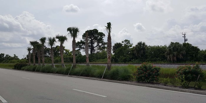 Alternate A1A Streetscape Design — image 1