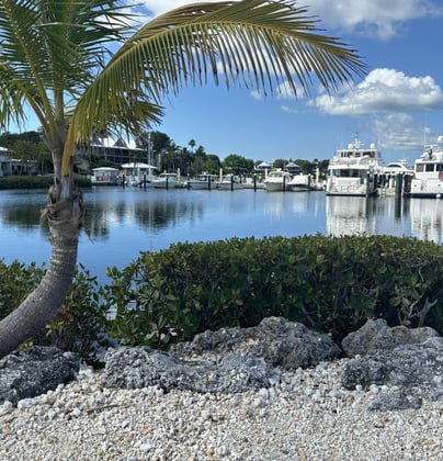 Angler's Club HOA Mangrove Trimming