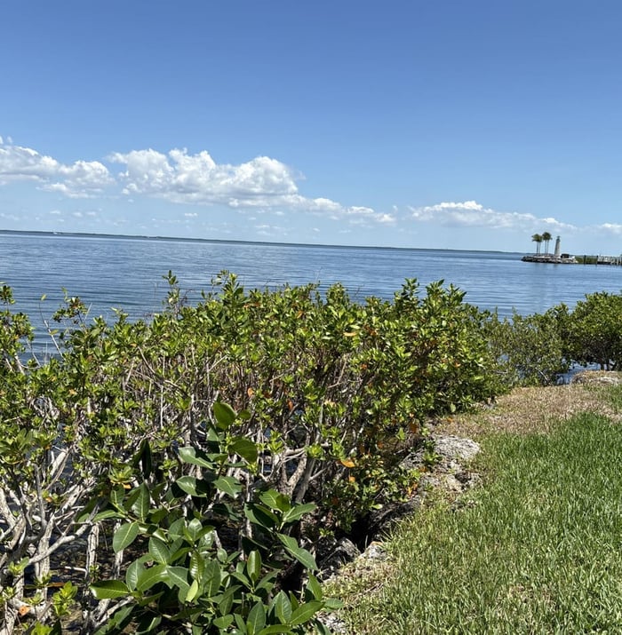 Angler's Club HOA Mangrove Trimming — image 1