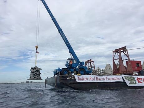 Artificial Reef Project — image 2