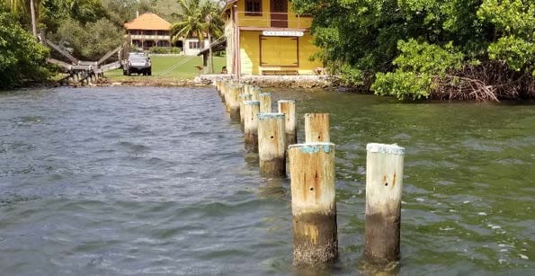 Barnacle Historic State Park Boathouse and Dock Repairs — image 1