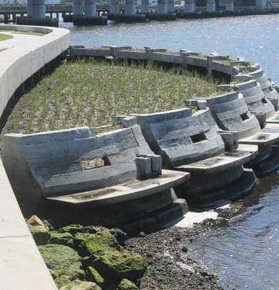 Bryant Park Living Shoreline — image 1