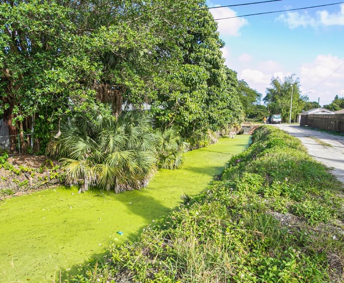 Canal Rehabilitation Program — image 1