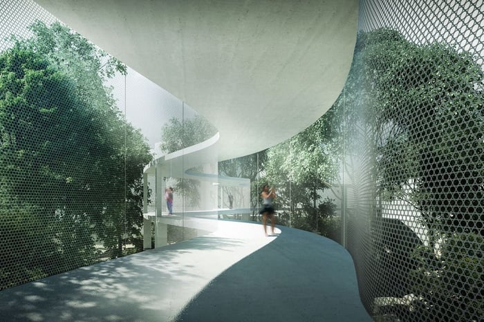 Canopy Walk — image 1