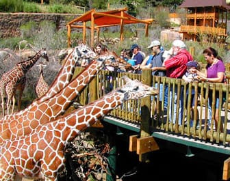 Cheyenne Mountain Zoo Parking Study — image 2