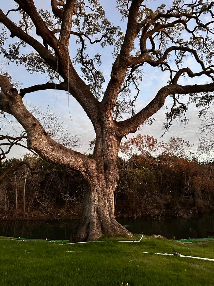City of Cedar Park - Bell Park — image 1