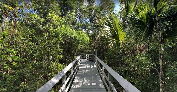 Vulnerability Assessment - Coconut Creek FL  — image 3