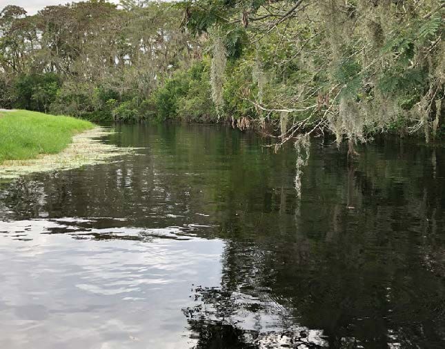 Disney Magnolia Golf Course — image 3