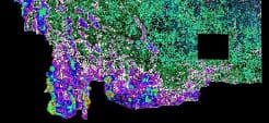 Everglades National Park Hole in the Donut Analysis and Survey: Years 5 Through 10 — image 1