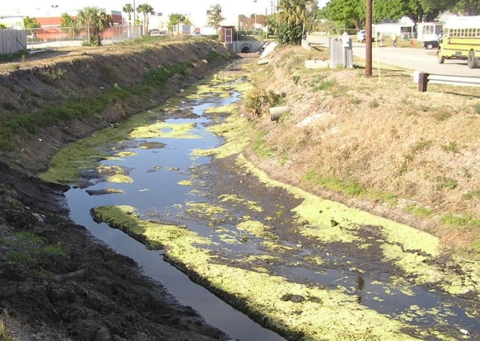 Fort Pierce / Natural Resource Conservation Service Canal Restoration — image 2