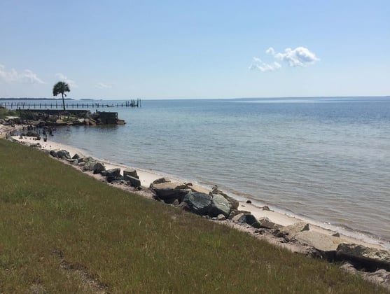 Franklin-98 Shoreline Restoration