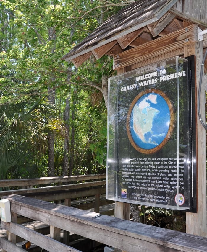 Grassy Waters Preserve — image 1