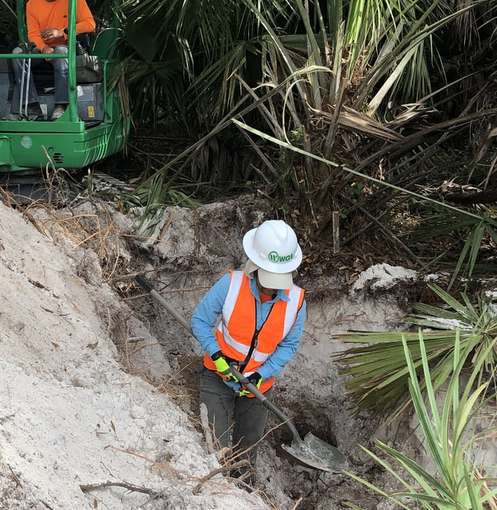 Groves Town Center Gopher Tortoises — image 1