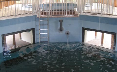 Gumbo Limbo Environmental Complex — image 2