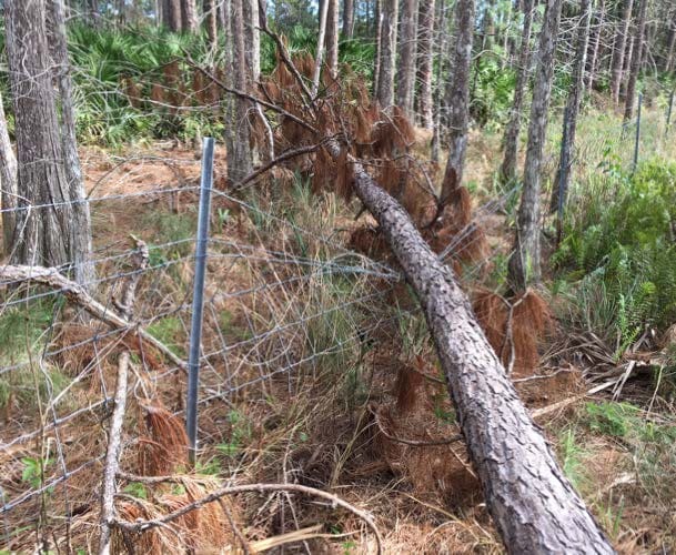 Hurricane Matthew Emergency Repair — image 1