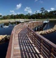 Juno Dunes Natural Area Boardwalk and Observation Tower — image 1