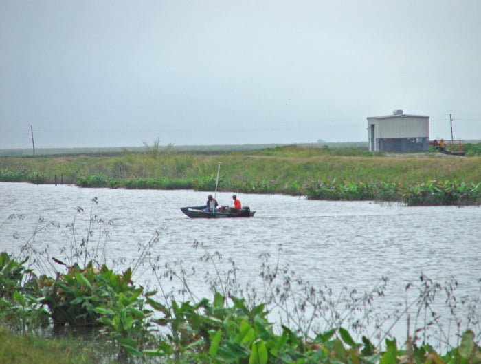 L-8 Canal Topographic and Hydrographic Survey — image 1
