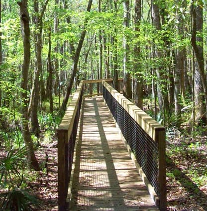 Clay County - Land Development Code Revision — image 2