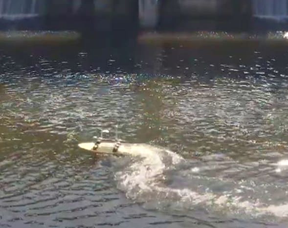 Lower Withlacoochee River — image 1