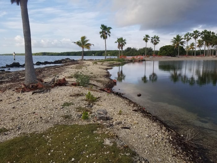 Matheson Hammock Park — image 1