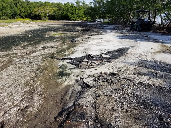Matheson Hammock Park — image 3