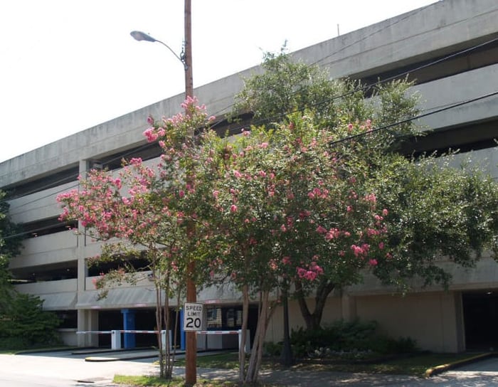 Medical University of South Carolina — image 2