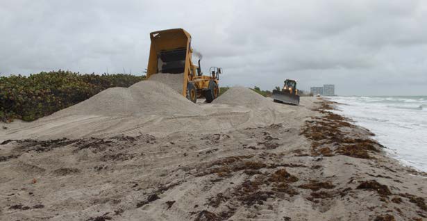 Beach Renourishment - Dr. Von D. Mizell-Eula Johnson State Park — image 1
