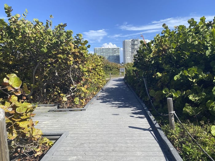 Mizell Johnson State Park Boardwalk — image 4